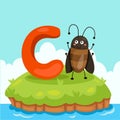 Illustrator of Letter'C is for cockroach' Royalty Free Stock Photo