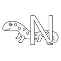 Illustrator of n newt