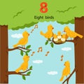 Illustrator of number eight birds