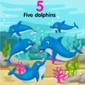 Illustrator of number with five dolphins