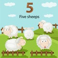 Illustrator of number five sheeps