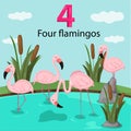 Illustrator of number four with flamingos