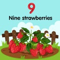 Illustrator of number nine strawberries Royalty Free Stock Photo