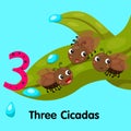 Illustrator of number three cicadas