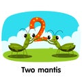 Illustrator of number two mantis Royalty Free Stock Photo
