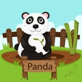 Illustrator Of Panda In The Zoo