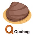 Illustrator of Q font with Quahog Royalty Free Stock Photo