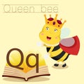 Illustrator of Q for Queen bee vocabulary