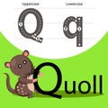 Illustrator of quoll with a font