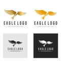 Eagle hawk falcon bird Logo