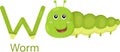 Illustrator of W with worm Royalty Free Stock Photo