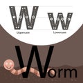 Illustrator of worm with w font