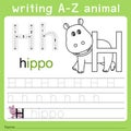 Illustrator of writing a-z animal h Royalty Free Stock Photo