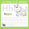 Illustrator of writing a-z animal h