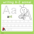 Illustrator of writing a-z animal a Royalty Free Stock Photo