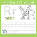 Illustrator of writing a-z animal r Royalty Free Stock Photo