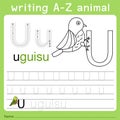 Illustrator of writing a-z animal u Royalty Free Stock Photo