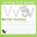 Illustrator of writing a-z animal v Royalty Free Stock Photo