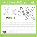 Illustrator of writing a-z animal x