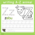 Illustrator of writing a-z animal z Royalty Free Stock Photo