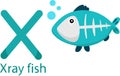 Illustrator of X with x-ray fish Royalty Free Stock Photo