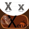 Illustrator of xerus with x font