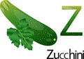 Illustrator z font with zucchini