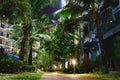 Iluminated palm trees and walkway between buildings at night Royalty Free Stock Photo