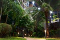 Iluminated palm trees and walkway between buildings at night Royalty Free Stock Photo