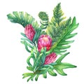 Ilustration of a bouquet with pink Protea flowers and tropical plants.