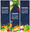 Healthy food banners set