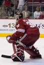 Ilya Bryzgalov in Goal Royalty Free Stock Photo