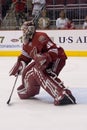 Ilya Bryzgalov in Goal Royalty Free Stock Photo