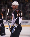 Ilya Kovalchuk, Atlanta Thrashers Royalty Free Stock Photo
