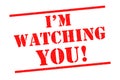 IM WATCHING YOU! Royalty Free Stock Photo