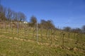 Small, well-tendered vineyard.