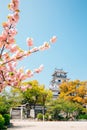 Imabari Castle at spring in Ehime, Shikoku, Japan Royalty Free Stock Photo