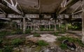 Image of abandoned industrial warehouse where the vegetation is invading the now destroyed interiors