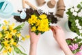 Image from above of person transplanting chrysanthemum