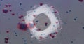Image of abstract circles rotating amides coronavirus on digital interface