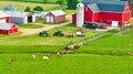 Aerial farm with green grass and cows wandering in from pasture toward red barn