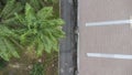 Aerial view of the backlane behind the oil palm trees. Royalty Free Stock Photo