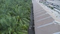 Aerial view of the backlane behind the oil palm trees. Royalty Free Stock Photo