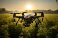 Image Aerial view drone flying over agricultural fields, analyzing during sunrise