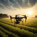 Image Aerial view drone flying over agricultural fields, analyzing during sunrise