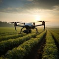 Image Aerial view drone flying over agricultural fields, analyzing during sunrise