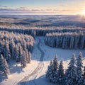 Aerial view from drone of snowy pines of endless coniferous forest trees in Lapland National park, bird s