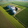 A field of wheat is blowing in the wind. Royalty Free Stock Photo