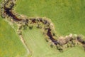 Image of aerial view of naturally meandering stream river kleine Ohe with trees on bank surrounded by green fields meadows in Bava