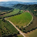 Aerial view of orange tree groves on hills creating organic pattern made with Generative AI Royalty Free Stock Photo